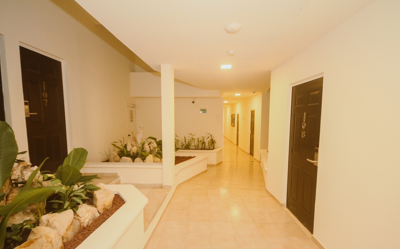 MAYA TULIPANES EXPRESS